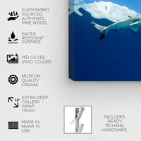 Студио Винвуд Студио Наутичко и крајбрежно wallидно уметноста на платното „Blacktip Reef Shark“ подолу од Дејвид Флитам „Морски